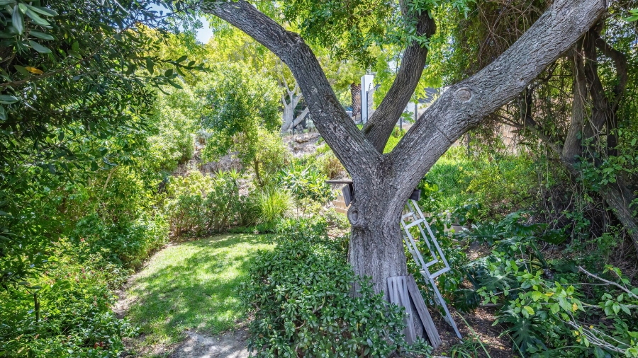 3 Bedroom Property for Sale in Valley Area Western Cape